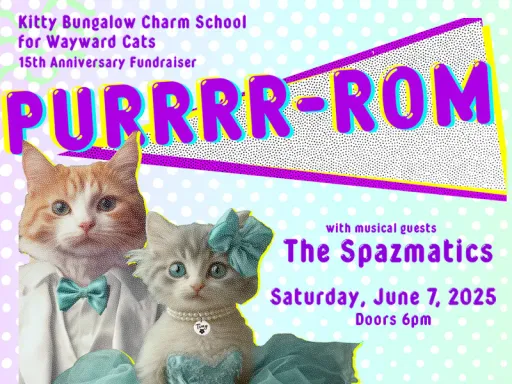 Kitty Bungalow Charm School for Wayward Cats, California's only 100%