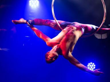 Le Aerial produced by Aerial Artists Australia, is a spectacular display of aerial grace and beauty.High flying, high en...