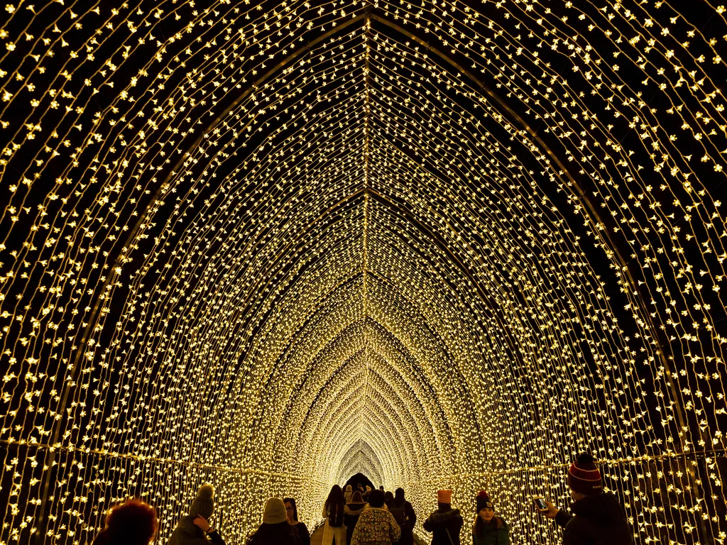 Lightscape at Brooklyn Botanic Garden 2024 1