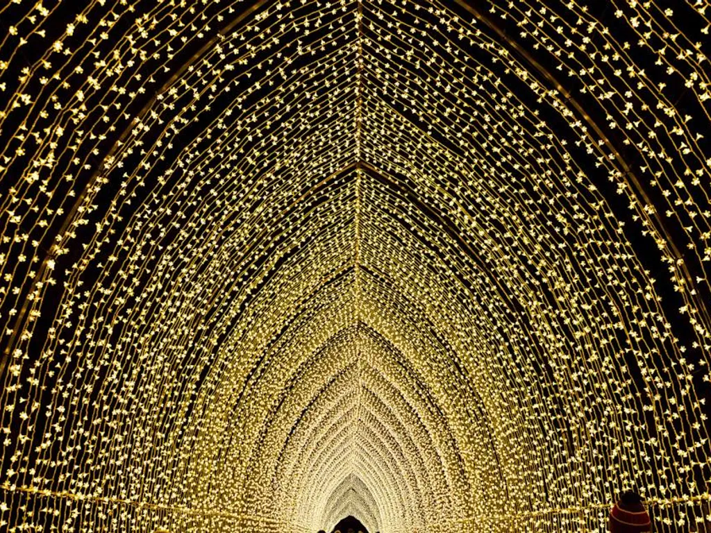 Lightscape at Brooklyn Botanic Garden 2025 1