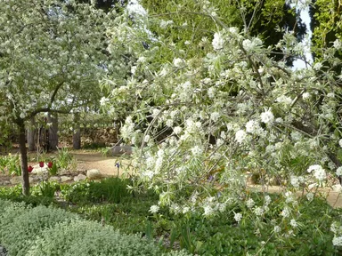 Enjoy a weekend of plant stalls, trades, drystone walling, gourmet food and coffee, wine and spirits, with a children’s activity area and much more.