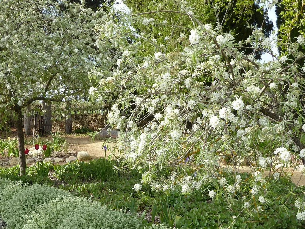 Limestone Coast Plant and Trade Fair 2024 1