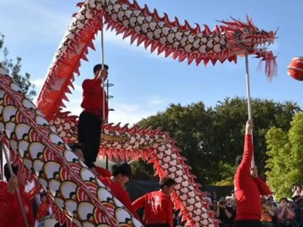 Lion and dragon dance performance 2025 1