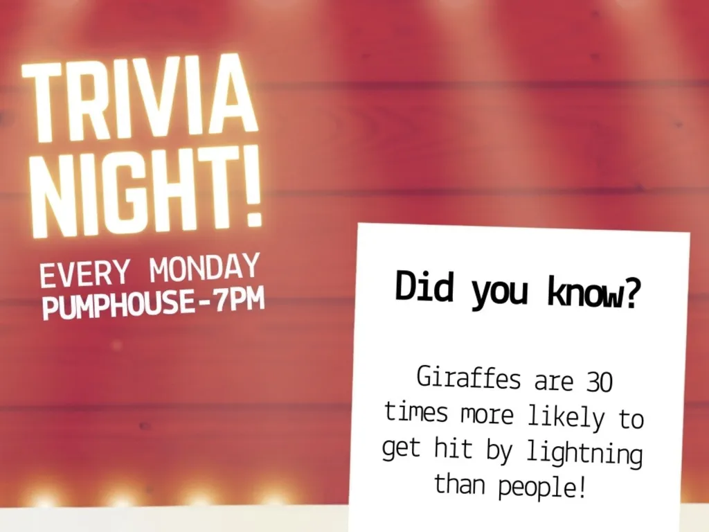 Monday Night Trivia 2024 1