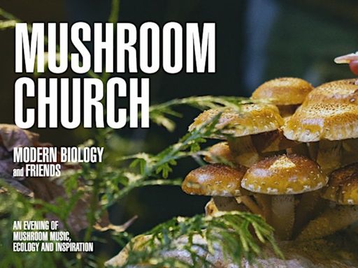 Science and Art come together as we appreciate the transformative power of fungi and celebrate more-than-human worlds. 