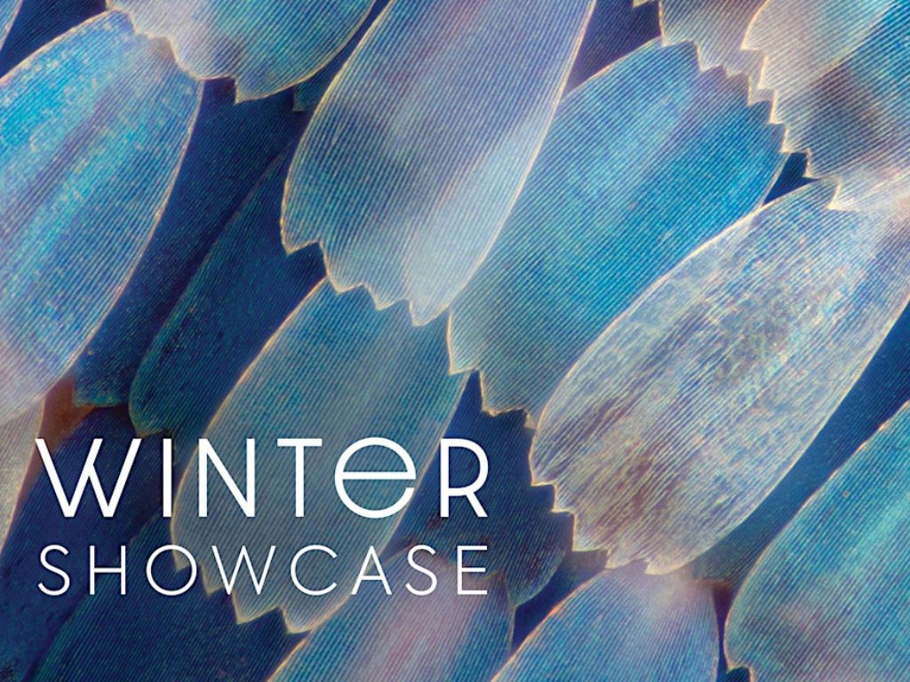 National Children's Chorus: Los Angeles Winter Showcase 2025 1