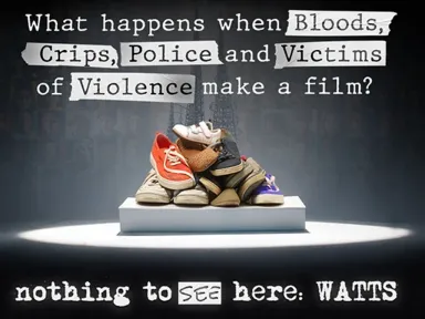 Nothing to See Here: Watts is a searing, self-made film...
