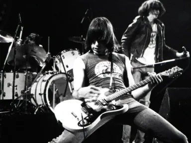 Punk has meant different things to different people. It is...