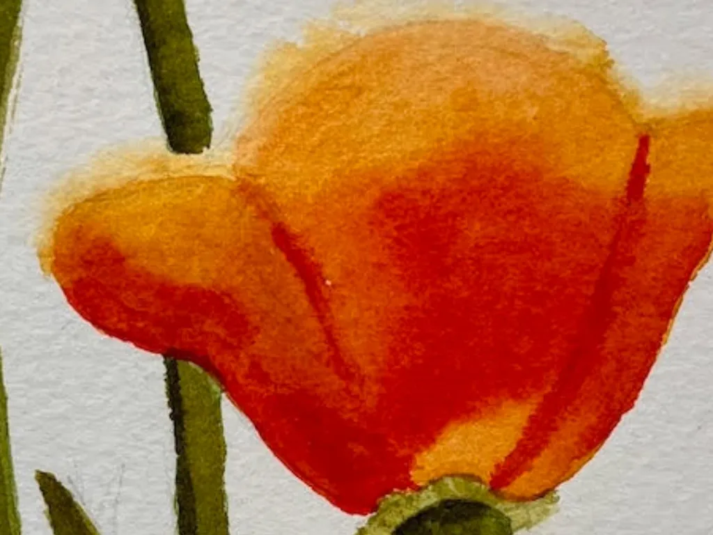 Painting flowers with watercolour with Natalie Popovski 2025 1