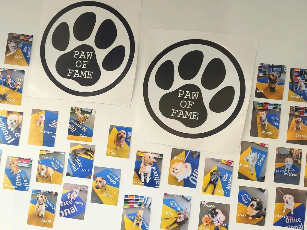 Paw of Fame - Our Town & Country Office National 2024 1