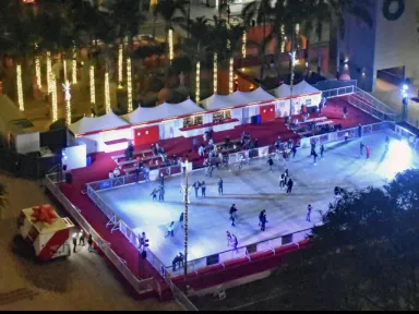 Glide into the holidays and join us for ice skating...
