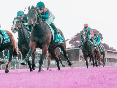 Turn the track pink at Strathalbyn Racing Club&#39;s Ladies Day—wear pink or a fabulous hat to support the Cancer Council.