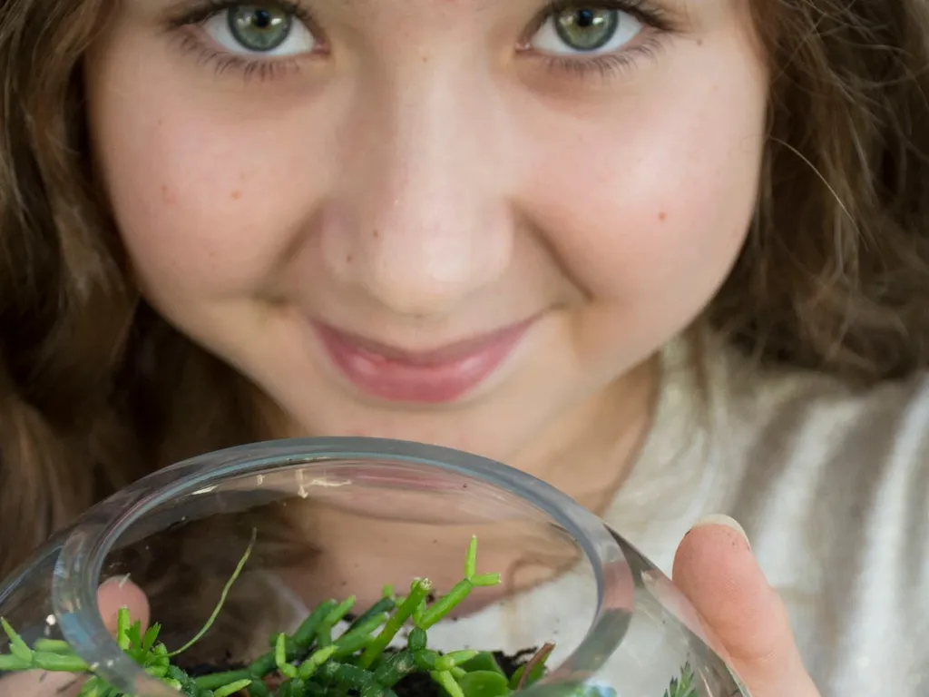 Rainforest in a Jar 2024 1