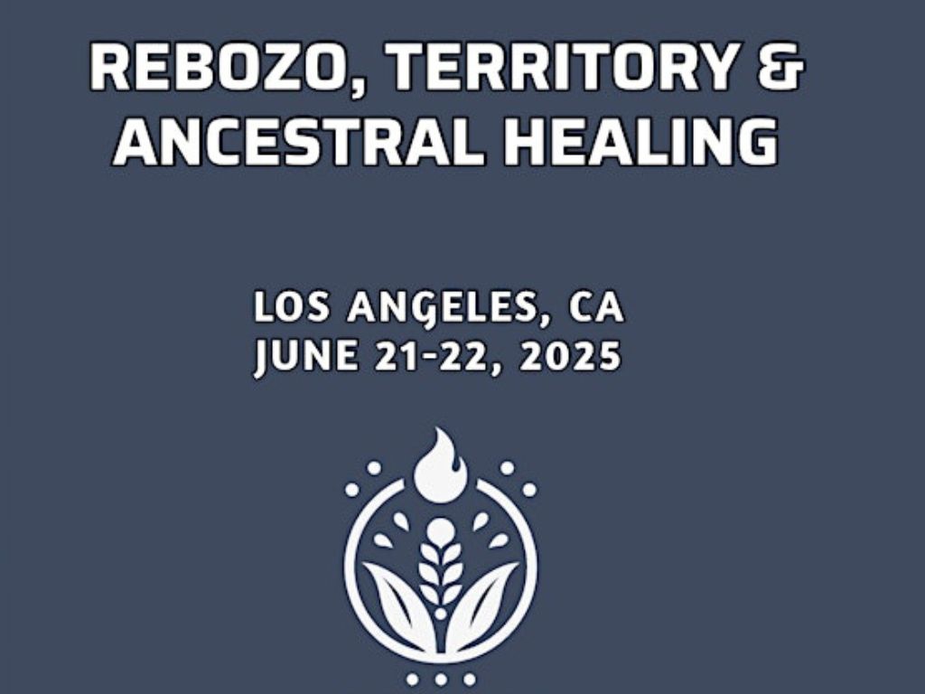 Rebozo, Territory & Ancestral Healing 2025 1