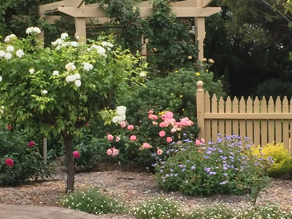 Riverland Rose and Garden Festival 2024 1