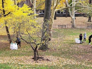 Join us for a fun day of giving back to our community by helping rake leaves in the beautiful Riverside Park