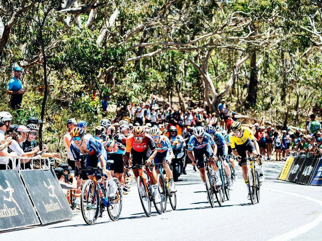 Santos Tour Down Under - THINK! Road Safety Men's Stage 5 2024 1