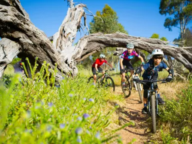 Head for the Hills offers school holiday mountain bike skills lessons &amp; clinics to help young riders to hone their technique.