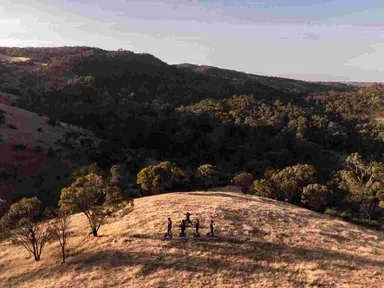 This is an experience not to be missed and we promise you will not be disappointed! Spend the morning breathing in the fresh Barossa air,