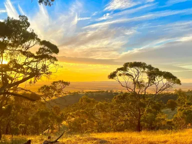 The Nature Festival is an annual event that showcases all things nature. Spring Gully A Wonderful Experience Art Exhibition