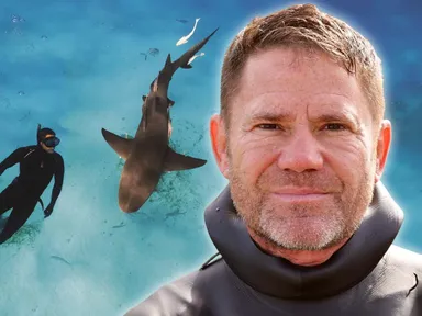 Steve Backshall’s Ocean&nbsp;is a love letter to the most exciting environment on our planet – and a...