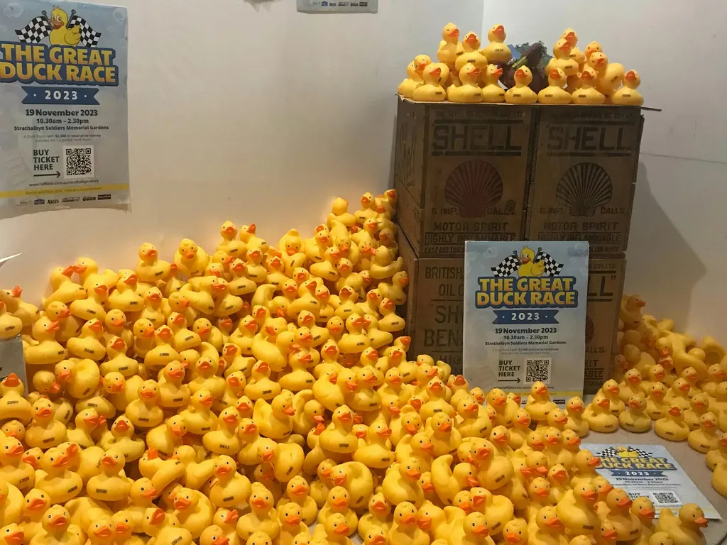 Strathalbyn Rotary Duck Race 2024 1