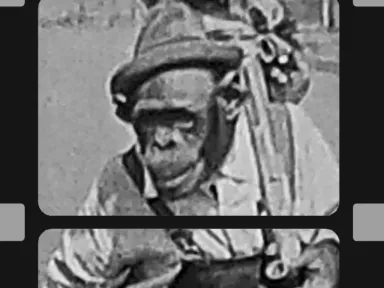 Vidiots welcomes you back for more 16mm obscurities with&nbsp; Sweet...