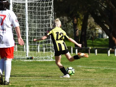 Bring your carnival spirit and cheer all the teams at The Tey&#39;s Naracoorte Sports Carnival.