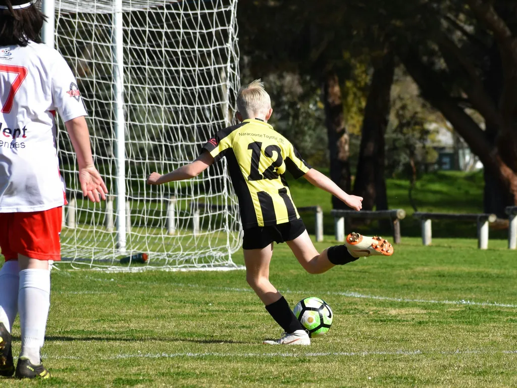 Teys Naracoorte,  Multicultural Sports Carnival 2024 1