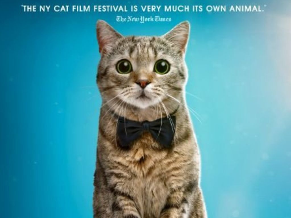 The 7th Annual NY Cat Film Festival Premiere 2024 1