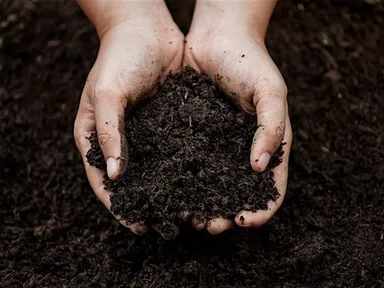 Refine your composting skills and learn how to build fertile soilAre you wanting to expand your comp...