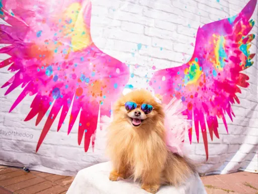 The largest pet festival in North America returns to Santa...
