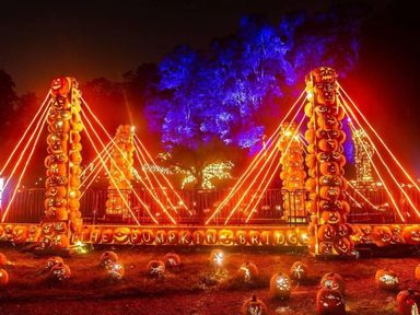 Walk the immersive pumpkin trail on the grounds of an 18th-century estate where thousands of hand-carved jack o'lanterns, all carved by our team of local artisans, light up the night.