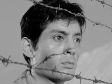 In Japanese with English subtitles. Although war has broken out,...