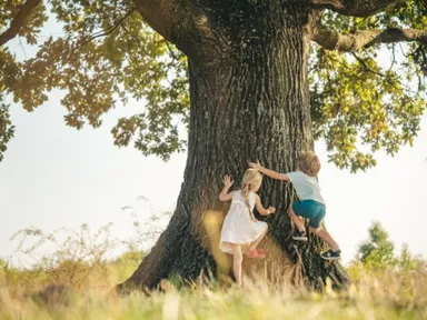 Enter the Enchanted Wood and create your very own Magic Faraway Tree.Ages: 7 to 12 years Bookings es...