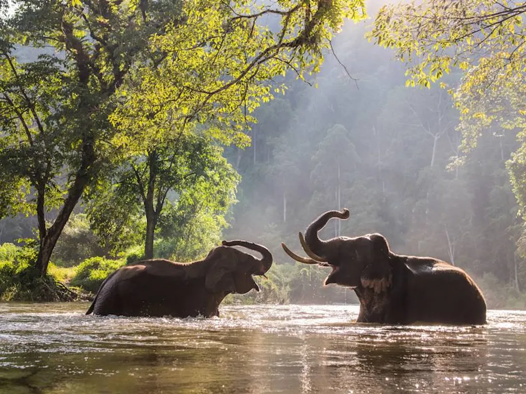 The Secret World of Elephants 2025 1