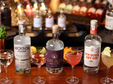 $34 Per Person includes a choice of premium Summer of Gin Martini or craft your own elevated Gin &am...