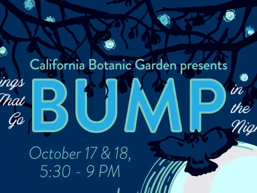 Nighttime fun for all ages returns to the Garden this...