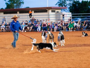 Nationally acclaimed singer songwriter Tom Curtain is again hitting the road, touring his national award winning outback show Katherine Outback Experience.