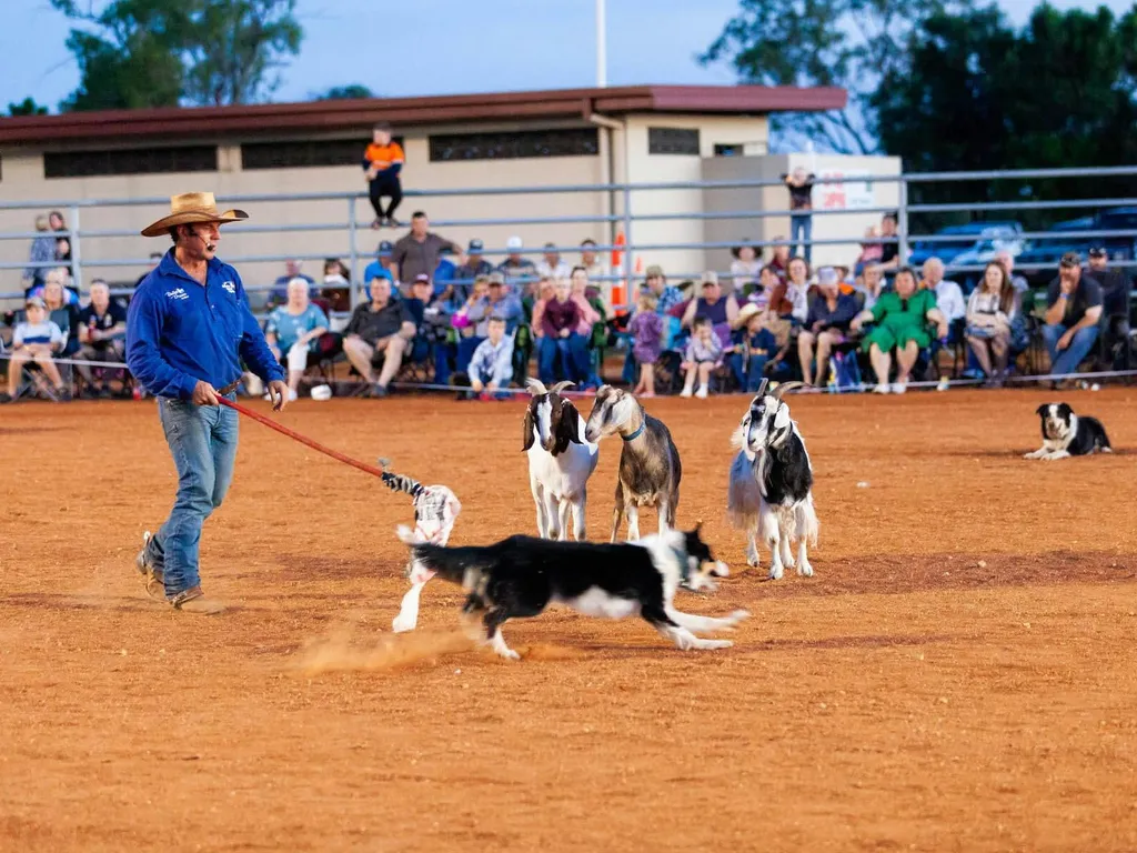 Tom Curtain's Good Life Tour - Cummins Showground 2024 1