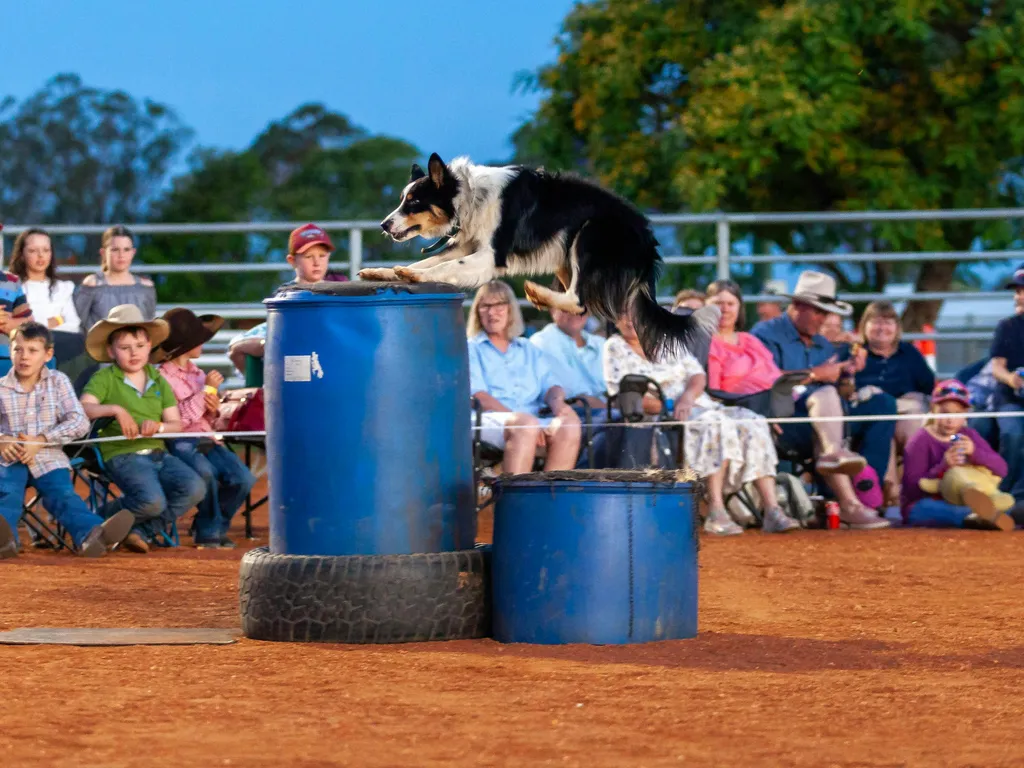 Tom Curtain's Good Life Tour - Pinnaroo 2024 1