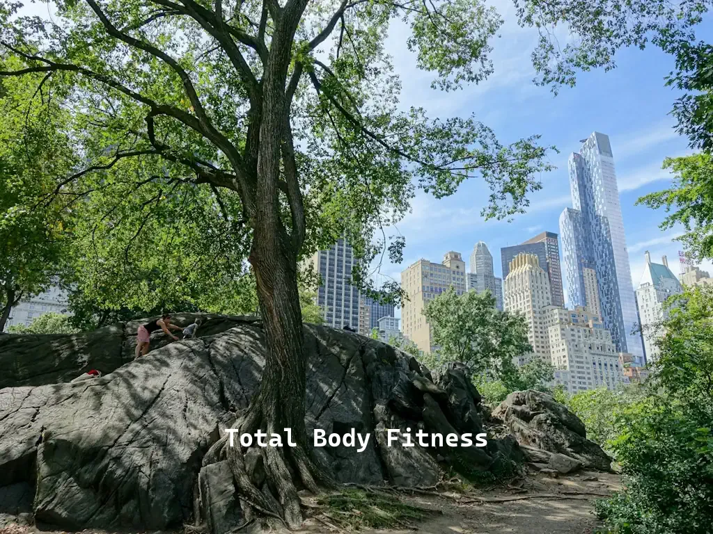 Total Body Fitness 2025 1