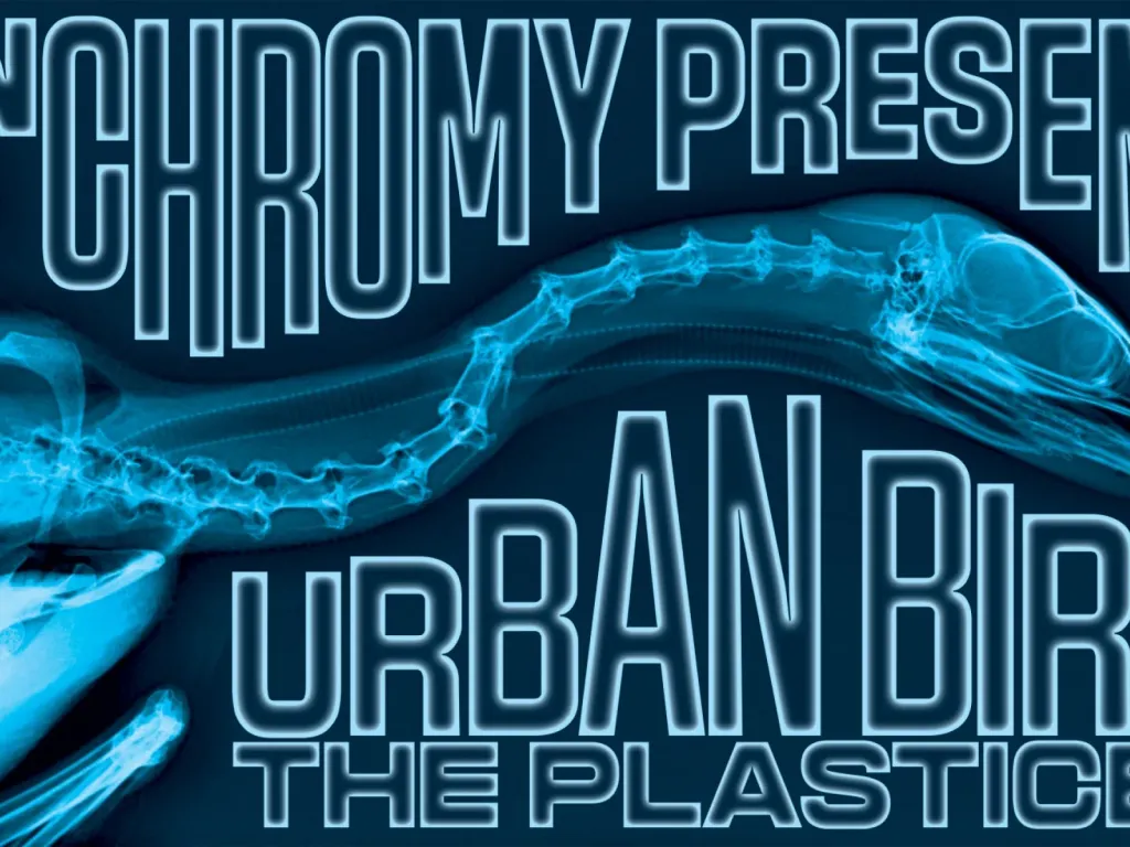 Urban Birds: The Plasticene 2025 1