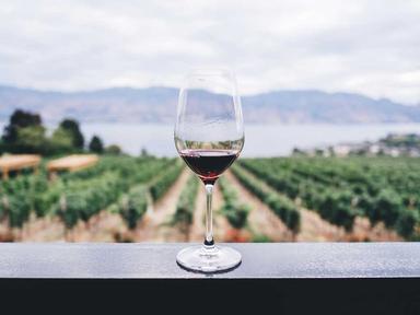 Veneto is one of Italy’s iconic regions for wine.
