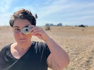 From tape loops and birdsong to Leonard Cohen and Beethoven’s...